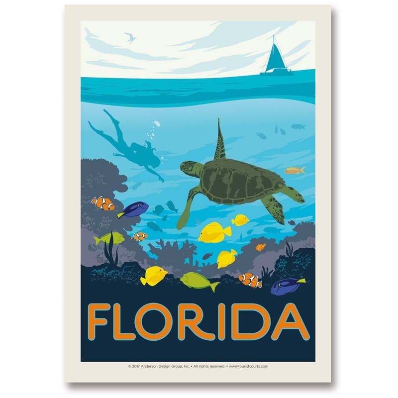 FL Sea Turtle | Postcards