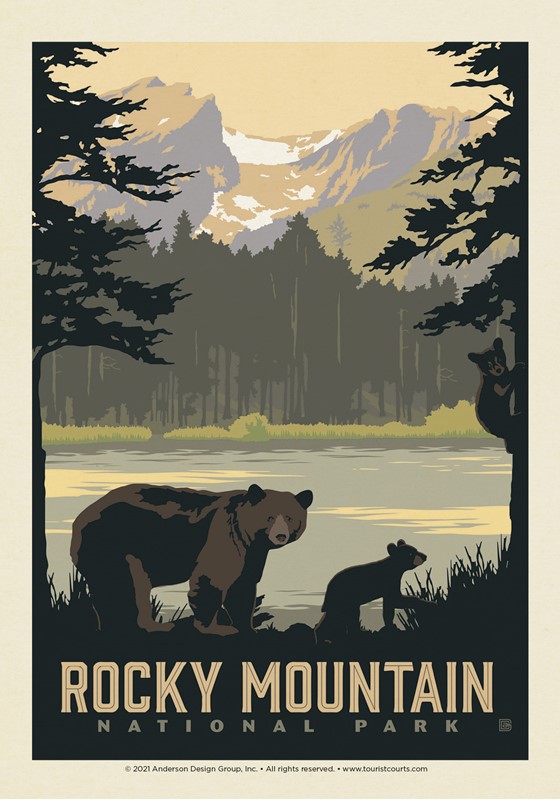 Rocky Mountain National Park Sprague Lake Bears | Postcard