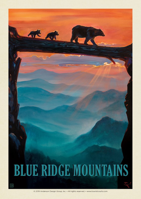 BRM Bear Crossing | Postcard