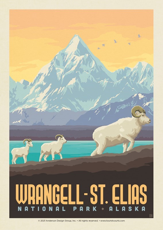 Wrangell St. Elias NP Dall Sheep l Postcards