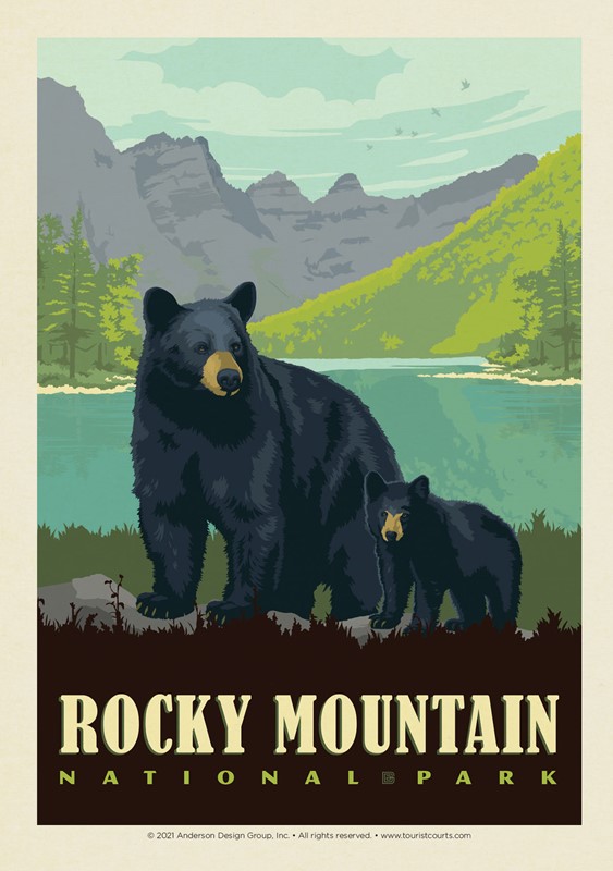 RMNP Black Bear Family Lake | Postcard