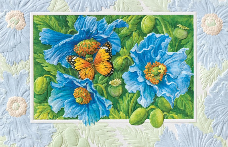 Himalayan Blue Poppies | Birthday greeting cards