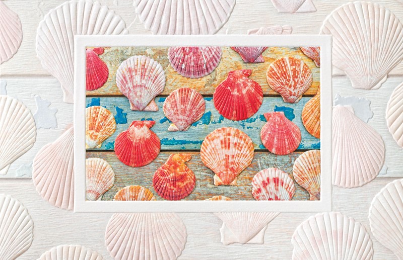 Scallop Shells | Coastal embossed greeting cards