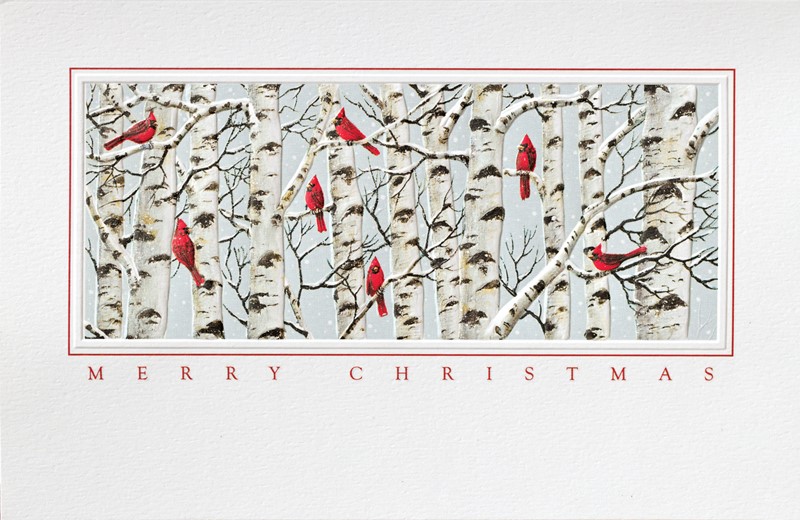 Cardinal Crazy | Bird themed boxed Christmas cards