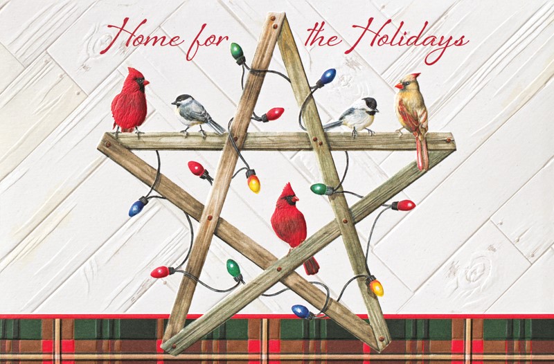 Country Christmas Star | Bird themed boxed Christmas cards