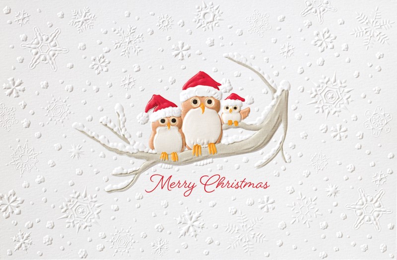 Owl Trio | Christmas Deluxe