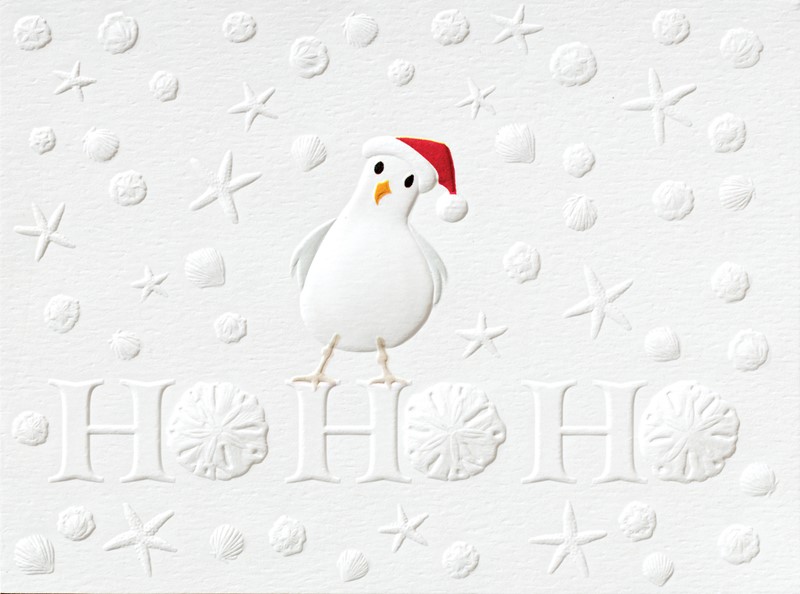 Ho Ho Ho Seagull | Coastal themed boxed Christmas cards