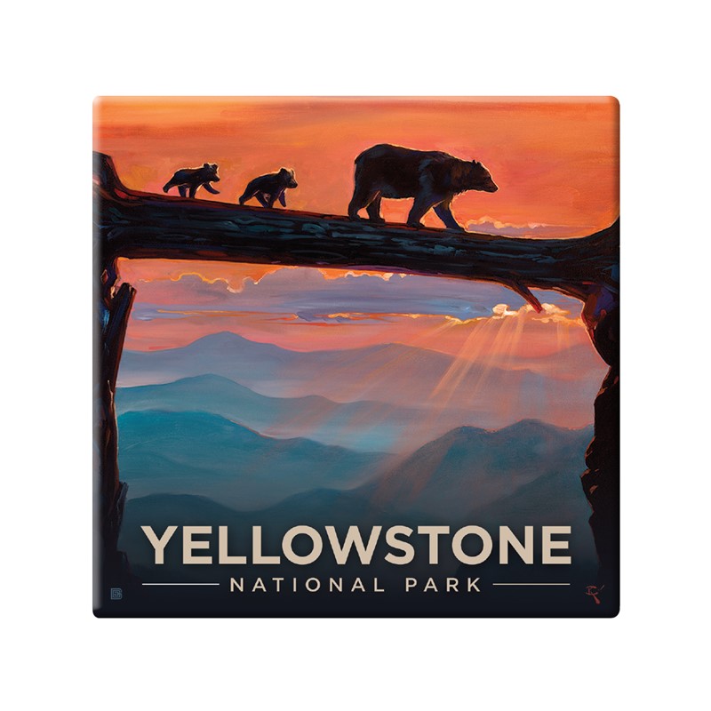 Yellowstone NP Old Faithful Square Magnet | Metal Magnet