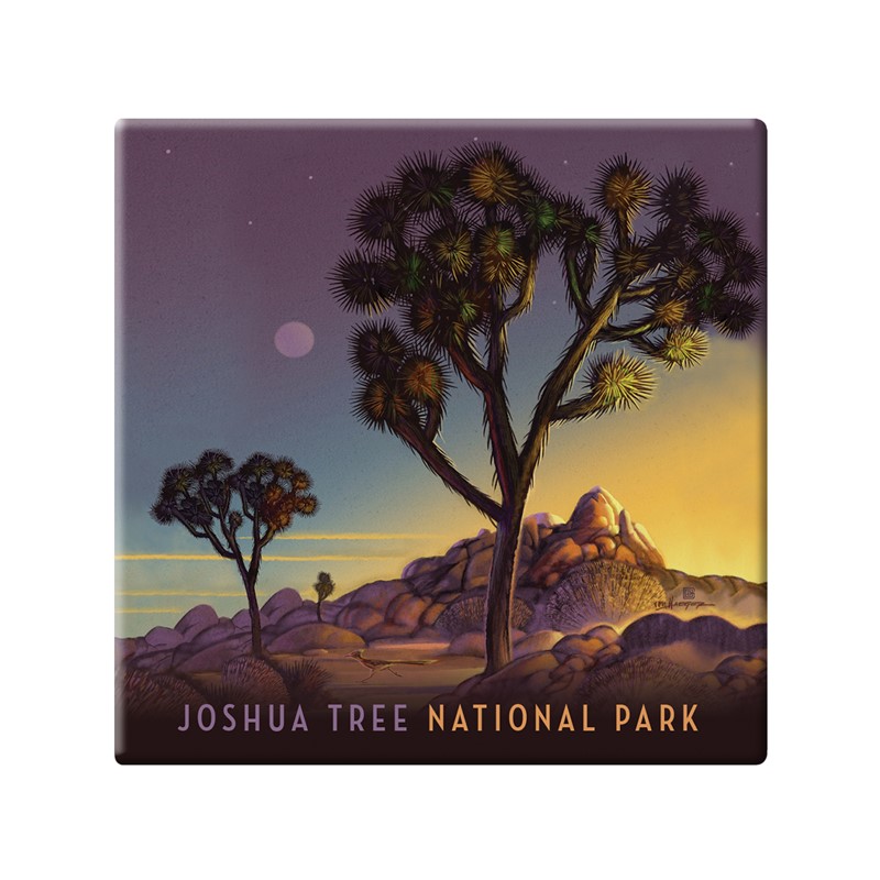 Joshua Tree NP Into the Evening Square Magnet | Metal Magnet