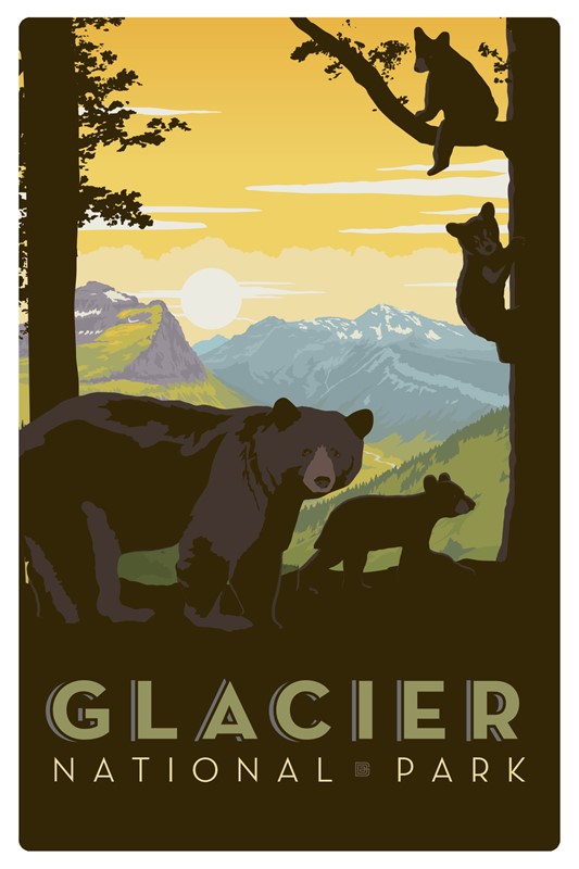 Glacier NP Mama Bear & Cubs Magnetic Postcard | Made in the USA
