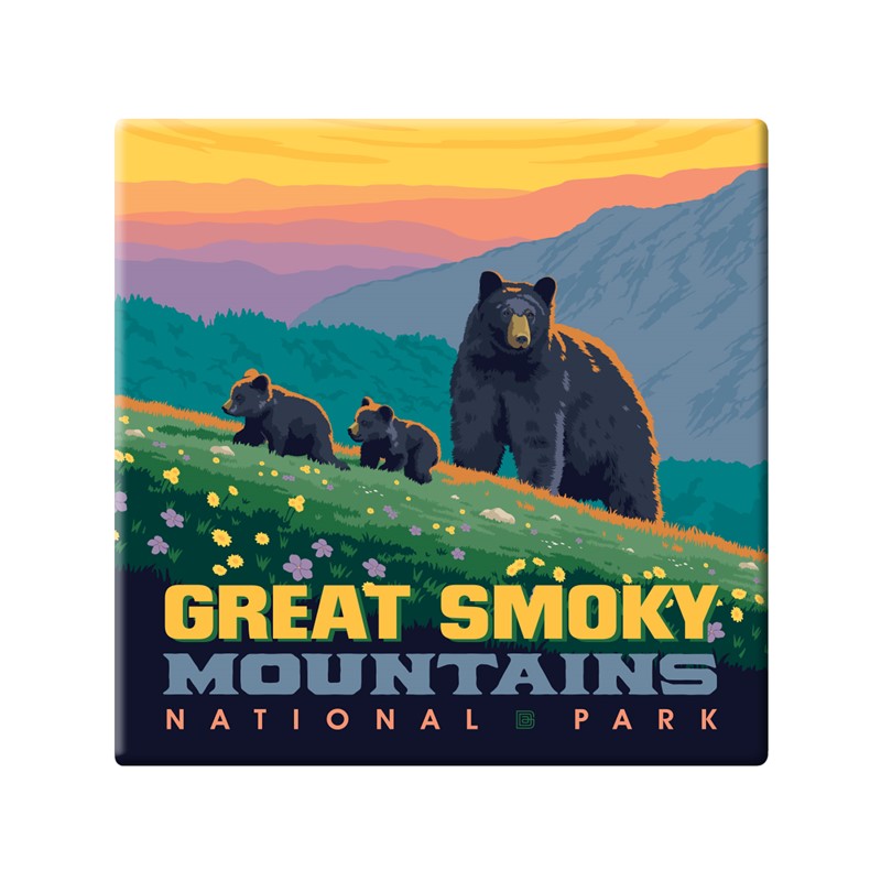 GSMNP Romping Cubs Square Magnet | Metal Magnet