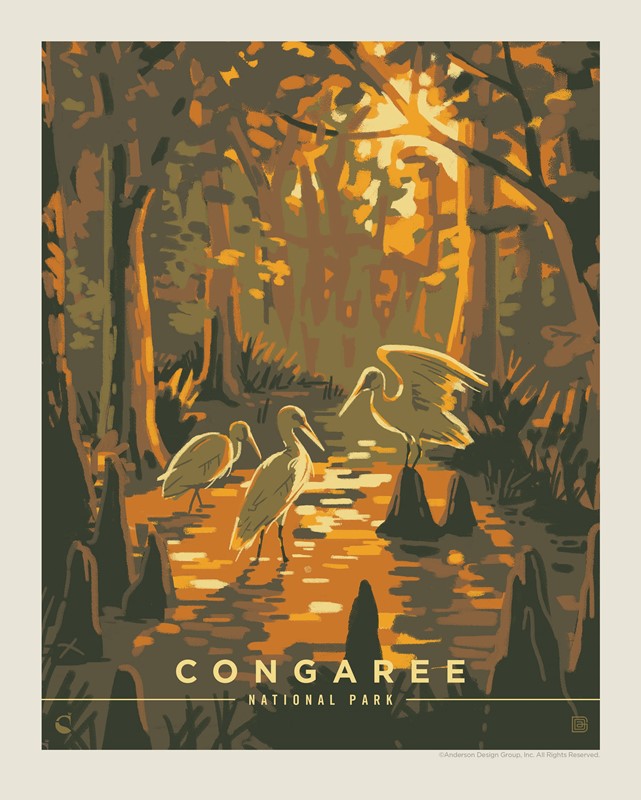 Congaree National Park Daybreak| American Made