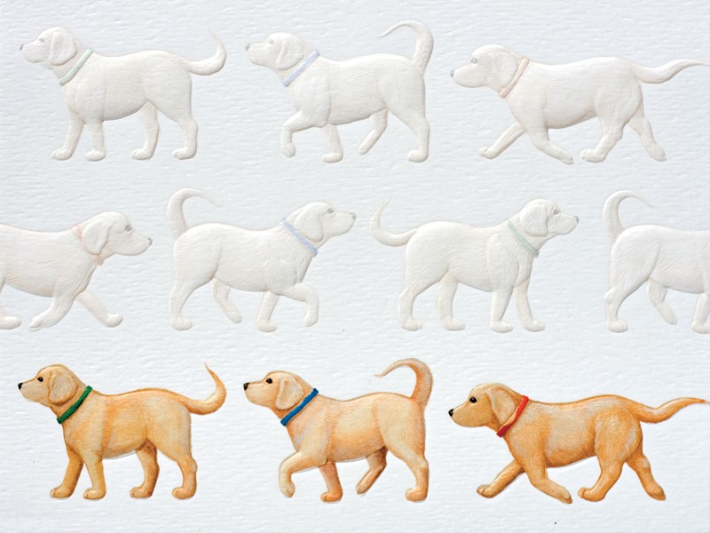 Golden Parade | Golden retriever embossed boxed note cards