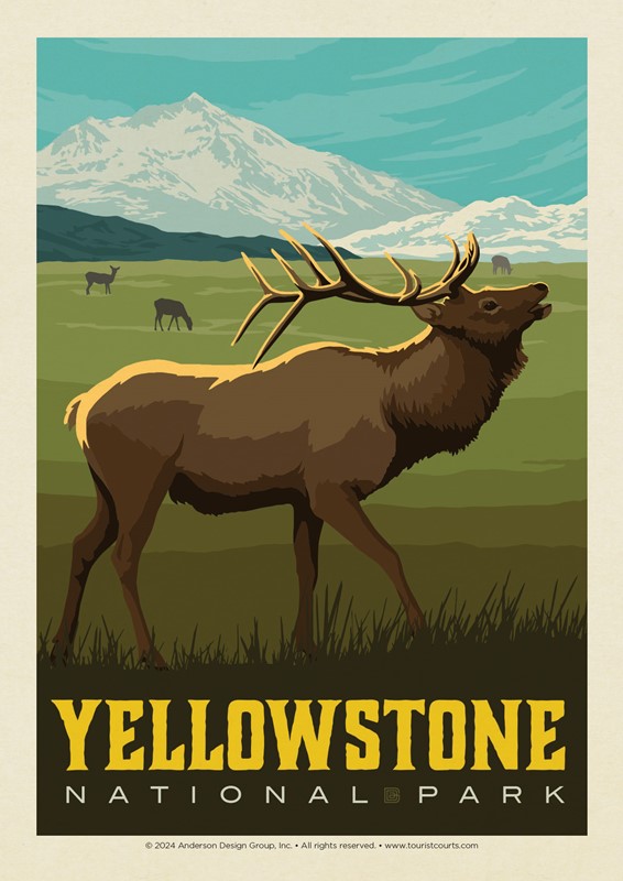 Yellowstone National Park Bugling Elk Postcard | USA Made