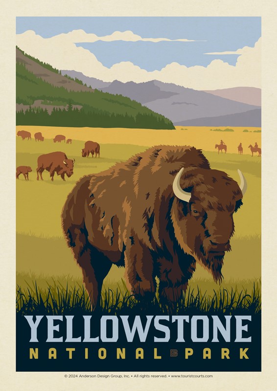 Yellowstone National Park Bison Field | USA Made