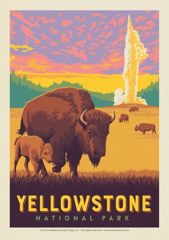 Yellowstone NP Old Faithful Bisons Postcard | USA Made