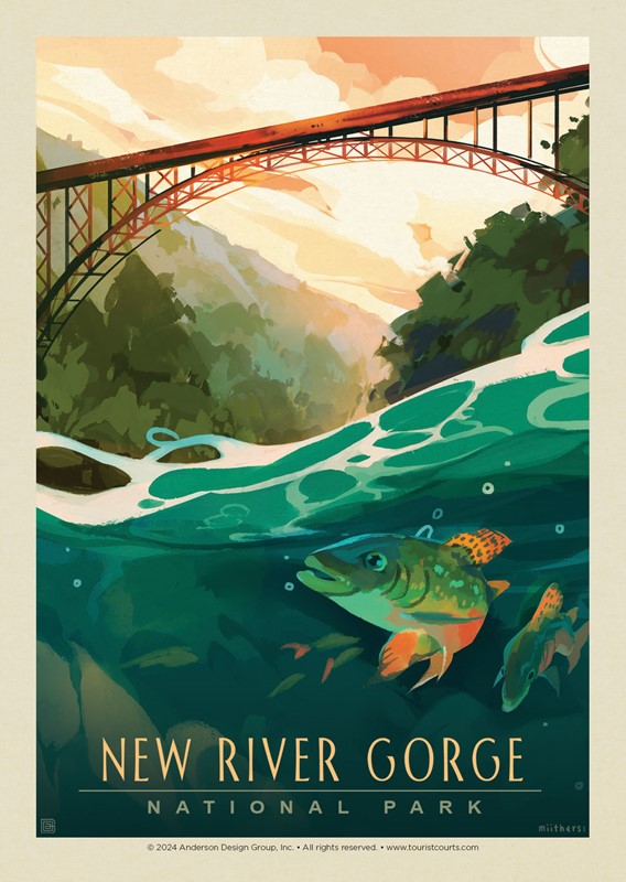 New River Gorge National Park & Preserve Fish-Eye View Postcard | USA Made