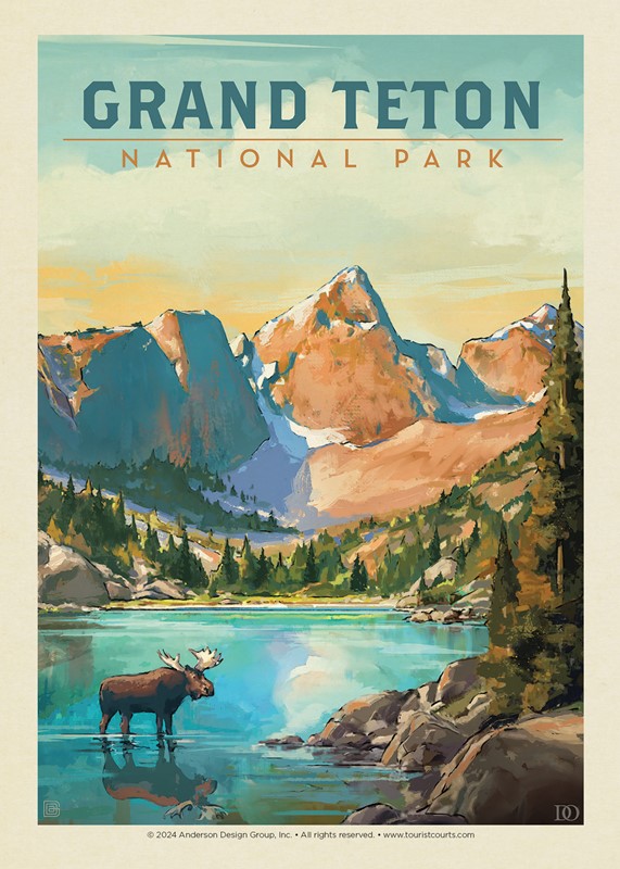 Grand Teton National Park Moose Postcard | USA Made