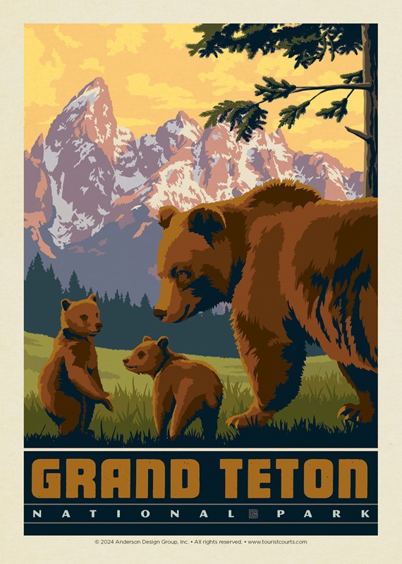 Wildlife Bears Grand Teton National Park Postcard | USA Made