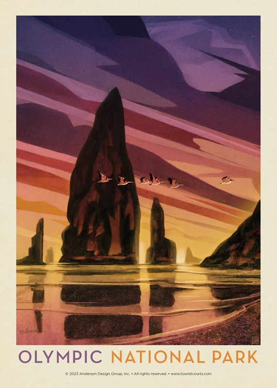 Olympic National Park Pelican Sunset Postcard | USA Made