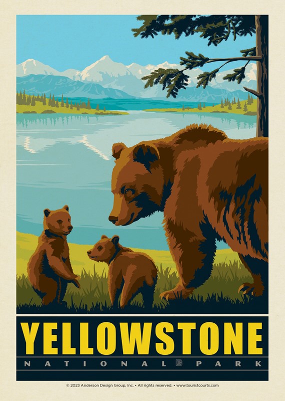 Wildlife Bears Yellowstone National Park | USA Made