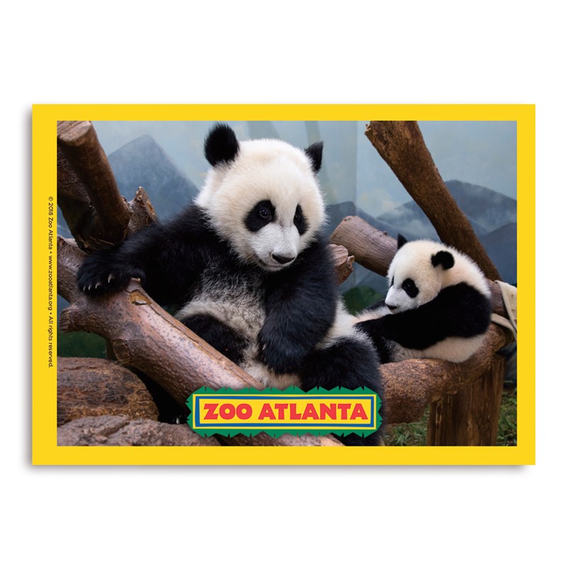 Atlanta Zoo Panda Two Vert Sticker | Vertical Sticker