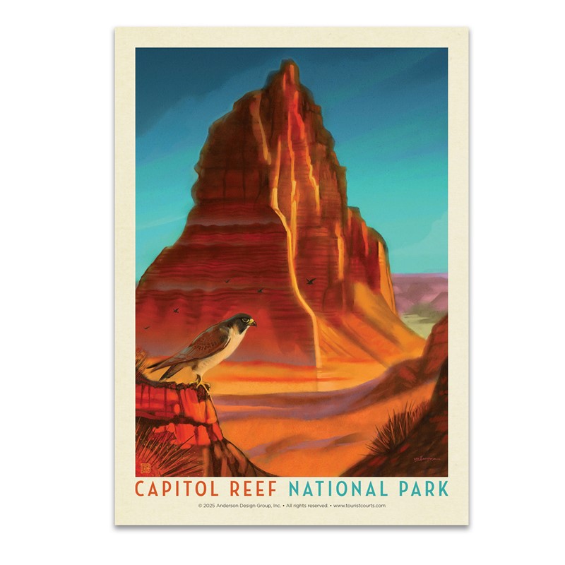 Capitol Reef NP Falcon Roost Postcard| USA Made