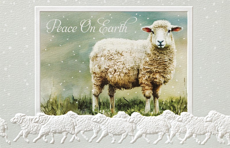 Leicester Longwool | Farm boxed Christmas cards