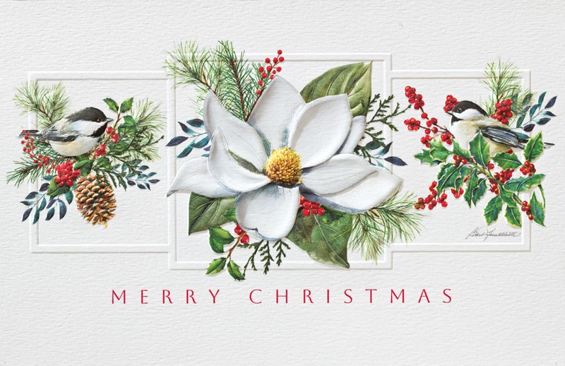 Magnolia & Chickadees | Bird themed boxed Christmas cards