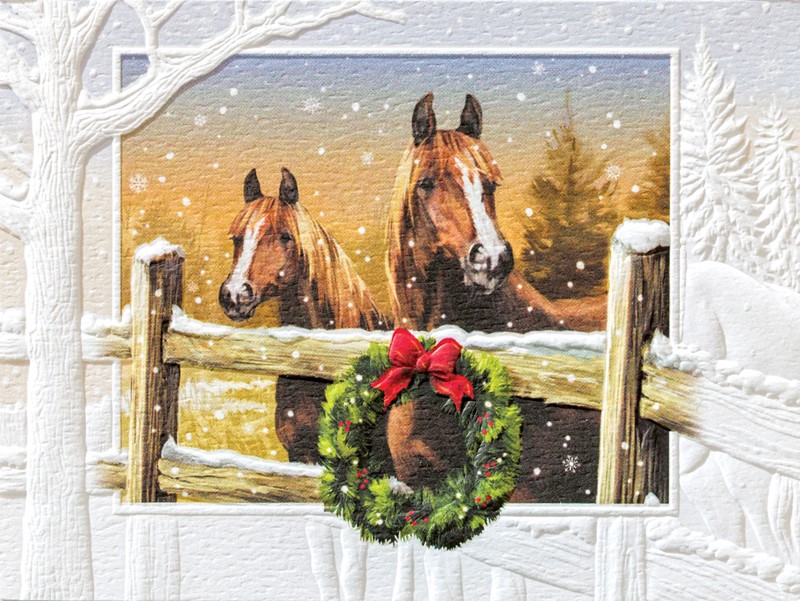 In The Meadow | Made in the USA