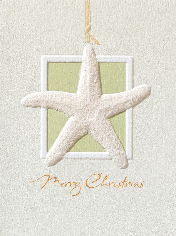 Sea Star Spirit | Embossed Coastal Christmas cards