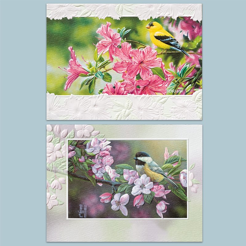 Songbirds | songbird boxed note cards