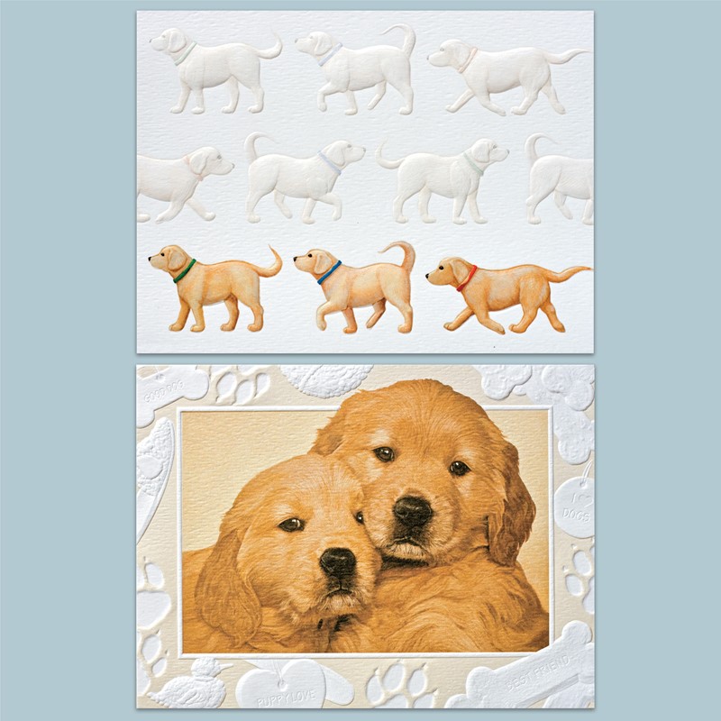 Golden Retriever | golen boxed note cards