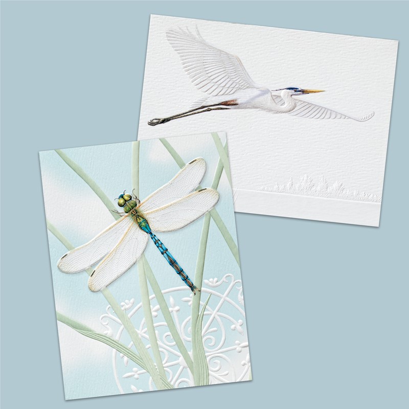 Coastal Flight | coastal boxed note cards