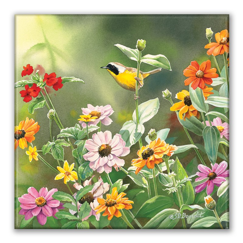 Cedar Waxwing Square Magne| American Made