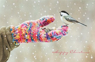 Mitten Munchies | Photographic boxed Christmas cards