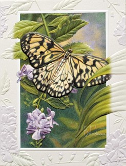 Rice Paper Butterfly | Blank Boxed Note Cards