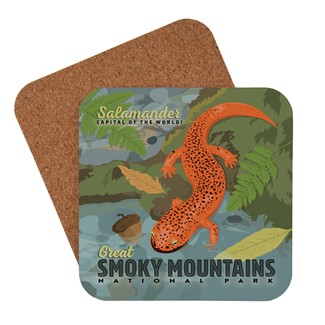 Great Smoky Mountain NP Salamander Coaster | USA Made