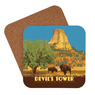 Devils Tower WY Coaster | USA Made