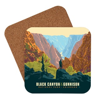 Black Canyon of the Gunnison NP Painted Wall Coaster | USA Made