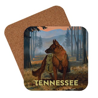 TN Coaster | Made in the USA