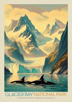 Glacier Bay National Park Gliding Orcas Postcard | USA Made