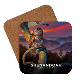 Shenandoah National Park Barred Owl Coaster | Made in USA