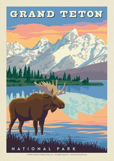 Grand Teton National Park Bull Moose Postcard | USA Made