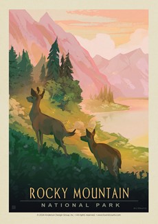 Rocky Mountain National Park Deer Postcard | USA Made