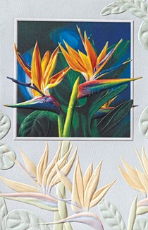 Birds of Paradise | Coastal birthday greeting cards