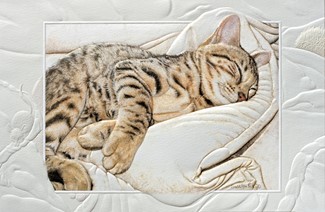 Bengal Baby | Blank greeting cards