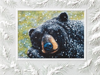 Little Bear Dreams | Boxed wildlife Christmas greeting cards