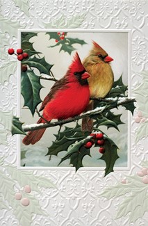 Christmas Cardinals | Bird themed boxed Christmas cards