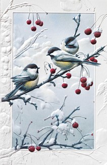 Cheeky Chickadees | Bird themed boxed Christmas cards